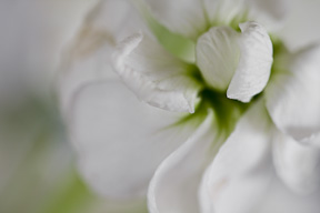 photography rule of thirds