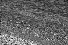 texture in photography composition